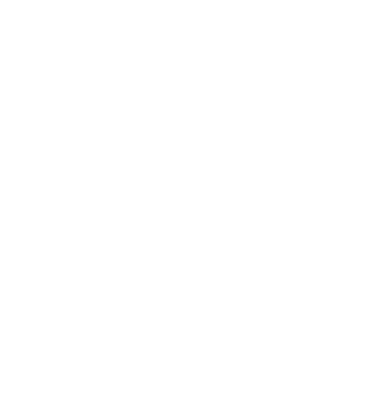 Logo en blanc de Fontan Fleuriste